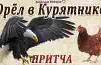 Орёл в Курятнике! Мудрая притча о предназначении человека и его самооценке / Читает Владимир Фёдоров - YouTube