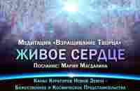 Медитация Живое Сердце - YouTube