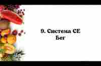 9 Система СЕ Бег - YouTube