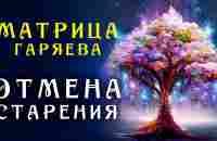 Самое Мощное Омоложение организма ☀️ Матрица Гаряева Торможение Старения - YouTube