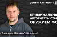 Шакро Молодой на свободе. Подробности убийства Навального**. Осечкин*: Утренний разворот - YouTube