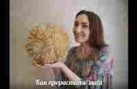 Легко и просто: Как прорастить маш (китайским способом) - YouTube