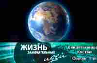 Жизнь замечательных идей Секреты живой клетки - Фильм 1-й @SMOTRIM_KULTURA - YouTube