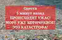 Одесса 5 минут назад. ПРОИСХОДИТ УЖАС! МОРЕ УЖЕ КОРИЧНЕВОЕ! ЭТО КАТАСТРОФА! - YouTube