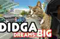 Didga Dreams BIG - Cats Amazing Trick Compilation - YouTube