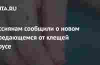 Россиянам сообщили о новом передающемся от клещей вирусе: Уход за собой: Забота о себе: Lenta.ru