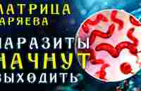 Всего 5 минут в день и Вы Избавитесь от Паразитов ☀️ Матрица Гаряева Антипаразитарная - YouTube