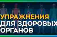 Самодиагностика позвоночника. Здоровье внутренних органов. Упражнения для оттока желчи - YouTube