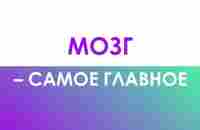 Мозг - самое главное - YouTube