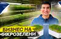 Бизнес с 5 тысяч рублей. Ситиферма у себя дома. Бизнес на микрозелени. - YouTube