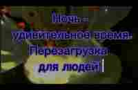 Доброй ночи! - YouTube