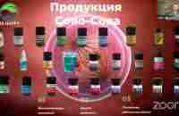 компания Сово Сова ОБЗОР НОВОЙ ПРОДУКЦИИ Катасод, ответы на вопросы Д.Трофимов, О.Патлай, О.Лебедева - YouTube