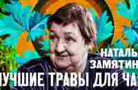 10 лучших трав для чая! Наталья Замятина. Здоровье от природы. - YouTube