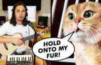 The Kiffness x Oh Long Johnson 2.0 - Hold Onto My Fur (Talking Cat Song) - YouTube