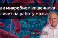 Как микробиом кишечника влияет на работу мозга. Хеннинг Сартор. Верба Майер. Микробиота - YouTube