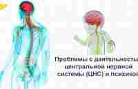 Проблемы с деятельностью центральной нервной системы (ЦНС) и психикой - YouTube