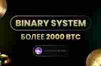 Более 2000 Btc в BINARY SYSTEM - YouTube