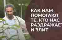 Как нам помогают те, кто нас триггерит, раздражает и злит - YouTube