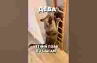 Знаки зодиака - YouTube