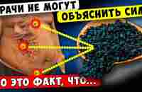 Лечит все, кроме Смерти - это Семя излечивает более 200 болезней! Одна ложка творит Такое... - YouTube