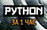 Учим Python за 1 час! #От Профессионала - YouTube