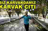 KARVAK CITI. 1 KUNLIK REAL VIDEO - YouTube