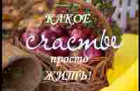 Какое счастье просто ЖИТЬ! - YouTube