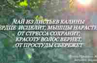 СЕКРЕТ ЛИСТЬЕВ КАЛИНЫ - YouTube