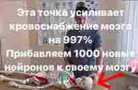 Эта точка на черепе усиливает кровоснабжение мозга на 997% Прибавляем новые нейроны к своему мозгу - YouTube