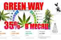 ДОХОД 35% В МЕСЯЦ ОТ GREEN WAY НА КОНОПЛЯНОМ БИЗНЕСЕ? О ЧЕМ ПРОЕКТ? - YouTube