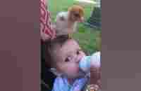 I and chicken are the best friend #shorts #shorts #shortsvideo - YouTube