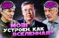 МОЗГ как ВСЕЛЕННАЯ. Дубынин, Семихатов, Сурдин. Вселенная Плюс - YouTube