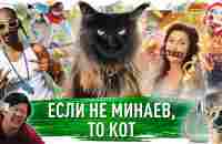 ЕСЛИ НЕ МИНАЕВ, ТО КОТ / МИНАЕВ - YouTube