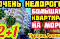 ШОК! НЕДОРОГО огромная квартира в Алании 300м от моря под ключ НЕДВИЖИМОСТЬ в Турции - YouTube