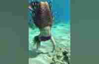 Mermaid tries to lure me #shorts - YouTube