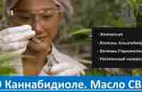 Рассказ о каннабидиоле - Масло CBD, LiveGood, Ливгуд - YouTube