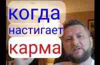 КОГДА НАСИГАЕТ КАРМА - YouTube