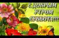 С Добрым Утречком, Суббота! Чудесного Выходного дня! Красивая Музыкальная Открытка. - YouTube