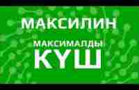 Максилин - әлемдегі антибиотиктерге төзімді жалғыз пробиотик.Мықты иммунитет. EnergyMax.Пробиотик. - YouTube