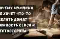 Почему мужчина не хочет что-либо делать дома? Важность секса и тестостерона - YouTube