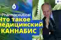 Медицинский КАННАБИС - YouTube