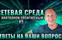 Сетевая среда. Анатолий Евсигнеев - YouTube