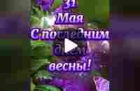 ###31 мая с последним днём весны!####CapCut | TikTok