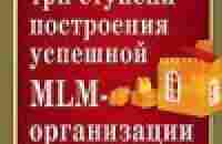 Система. Три ступени построения успешной MLM-организации — Файла Дон — быстро скачать