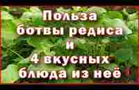 Польза ботвы редиса и 4 вкусных блюда из нее - The benefits of radish tops and 4 delicious recipes - YouTube