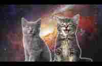 Space Cats — Magic Fly - YouTube