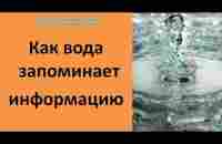 КАК ВОДА ЗАПОМИНАЕТ ИНФОРМАЦИЮ. - YouTube