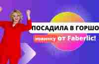 Посадила в горшок новинку от Faberlic - YouTube