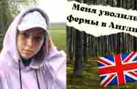 УВОЛИЛИ с Фермы | Rumwood Green Farm | Ферма в Англии - YouTube