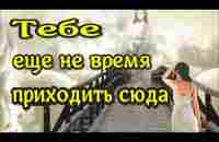 Тебе нужно вернуться! ЖИЗНЬ ПОСЛЕ СМЕРТИ - NDE/ Клиническая смерть рассказ (nde 2023) //ЛУНА - ДУША - YouTube